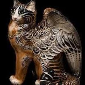 Meet your Posher, Kat